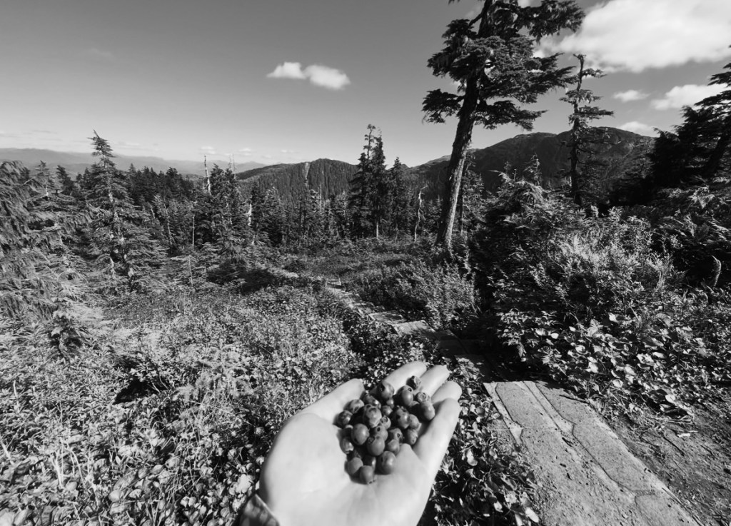 rainy, rooted, & a little&nbsp;wild