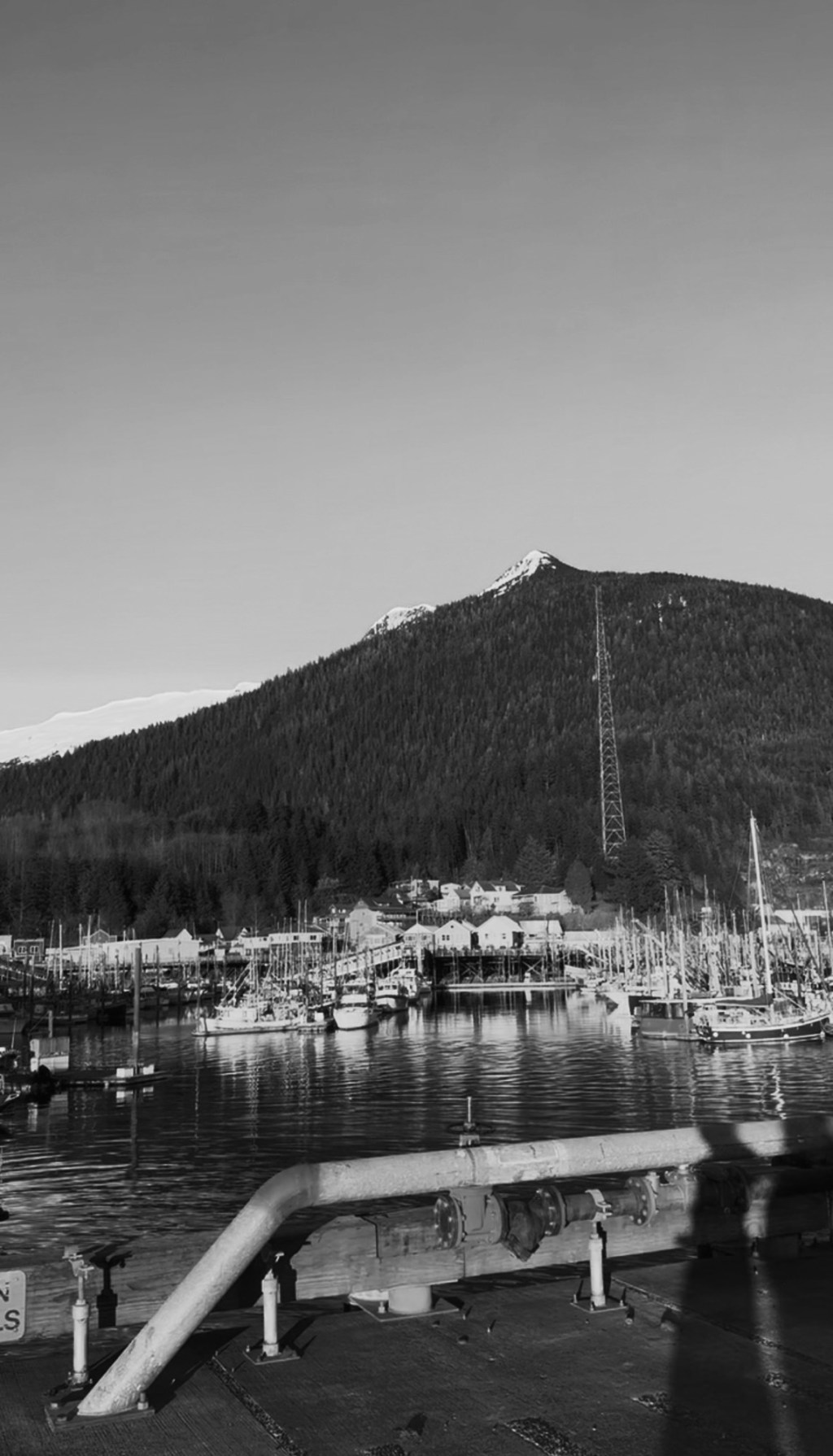 community, connection, &&nbsp;harmony