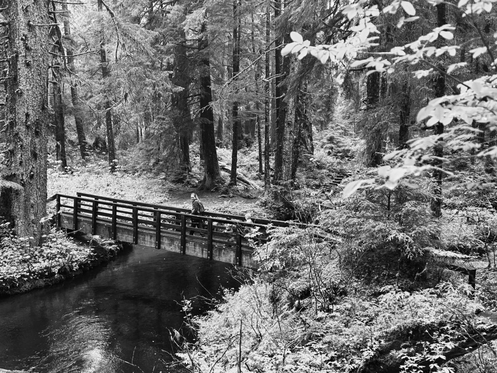 magic, mayhem, &&nbsp;meaning