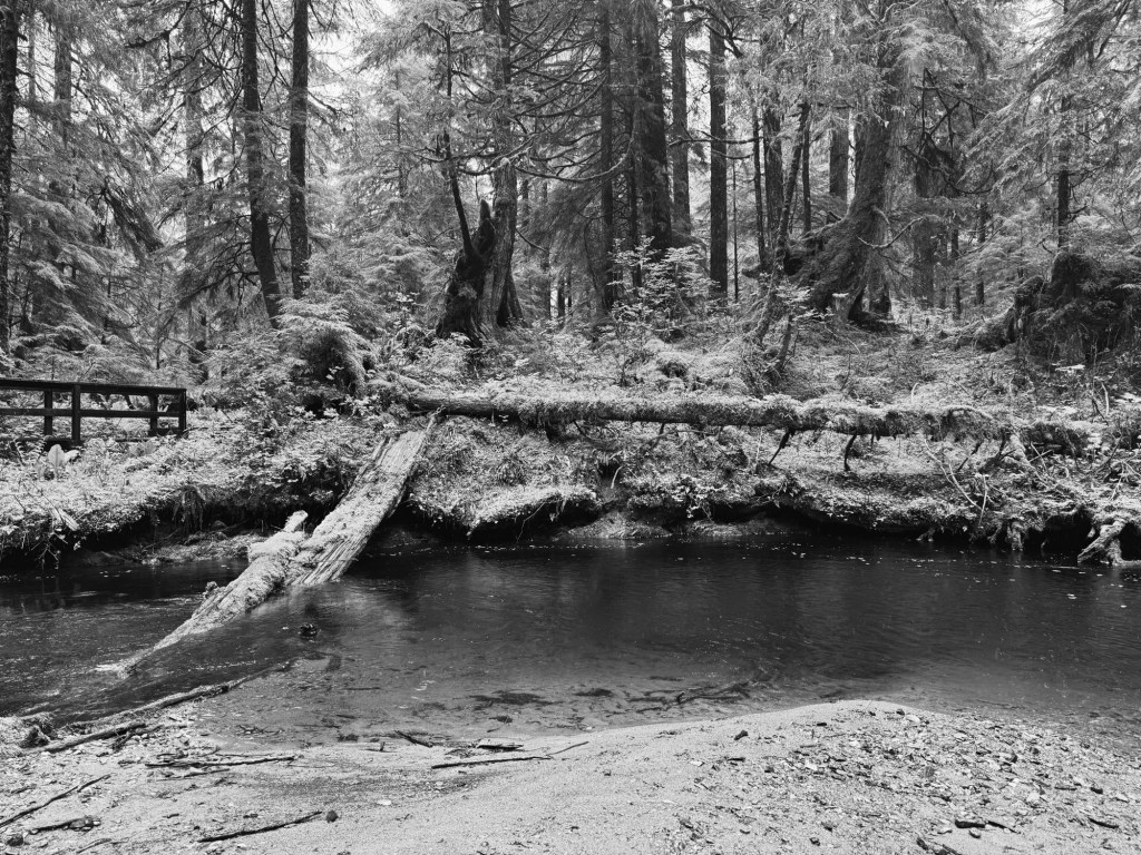 you’re more than what you have&nbsp;survived