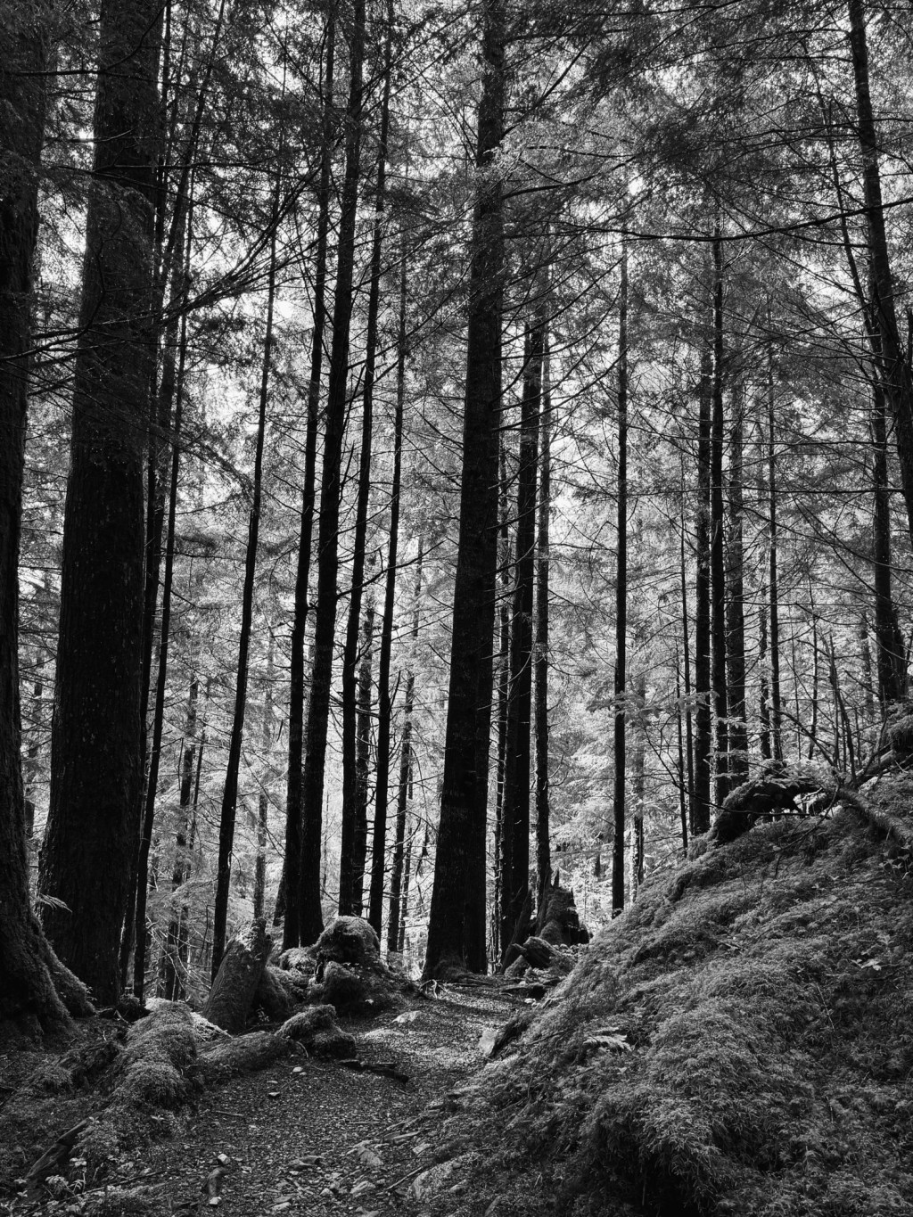 Today, I’m just not&nbsp;winning