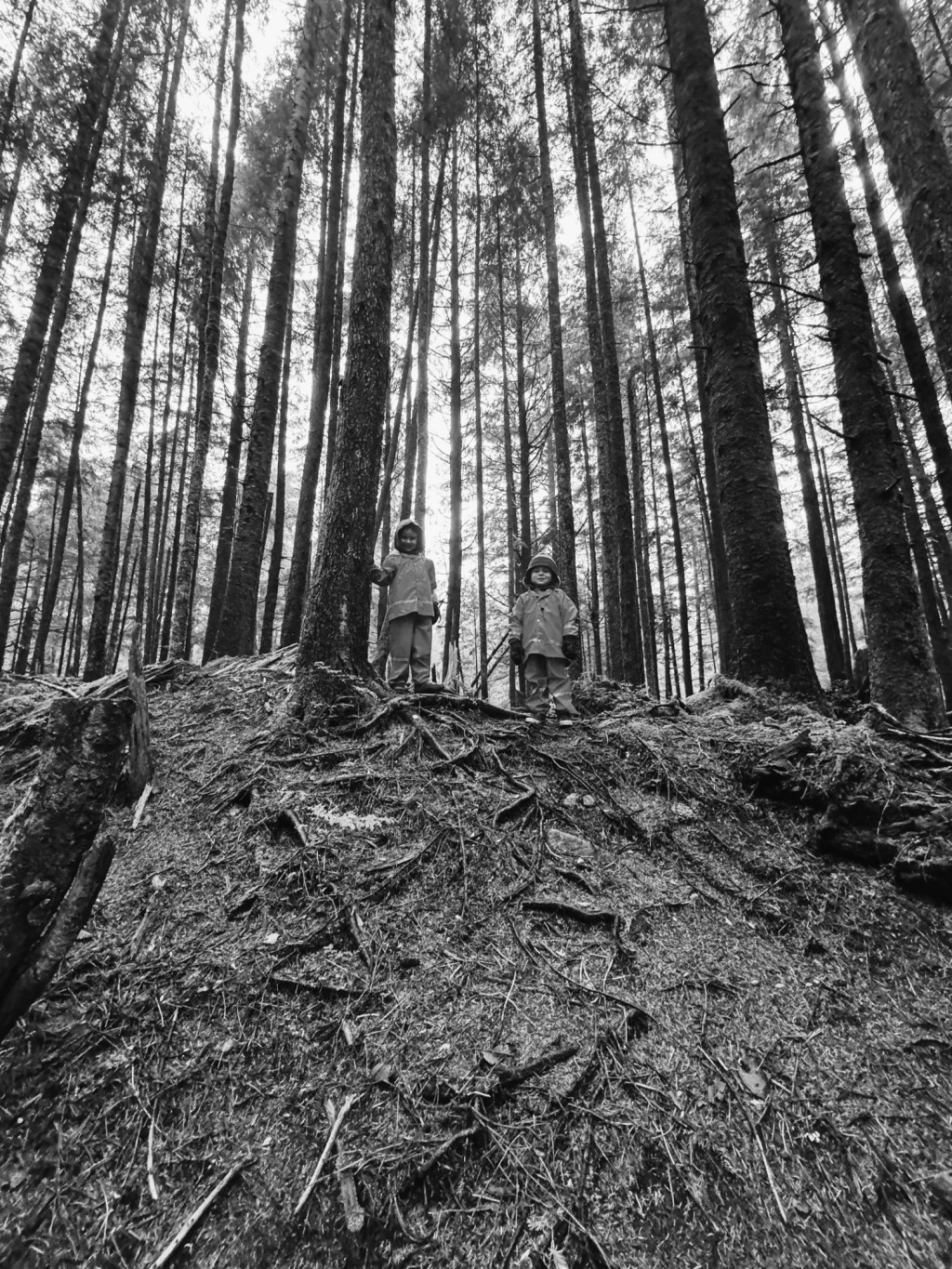 climbing trees, collecting rocks, & confidence&nbsp;building